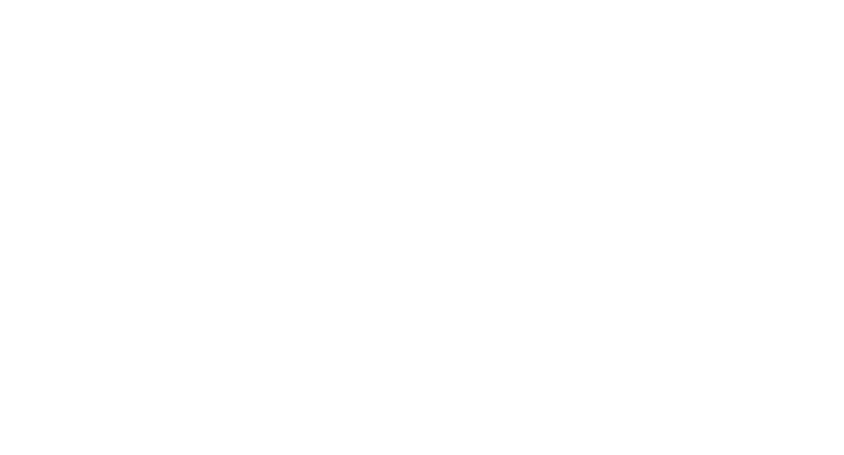 Instituto BWS