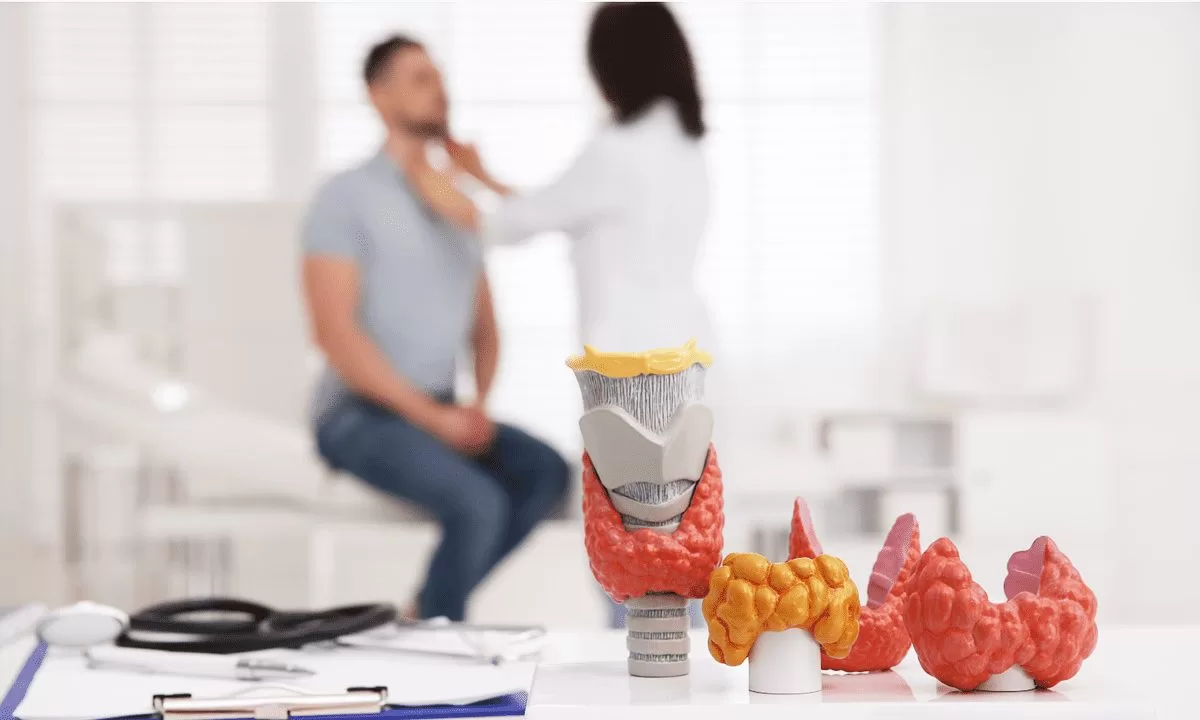 Pós-Graduação em Endocrinologia